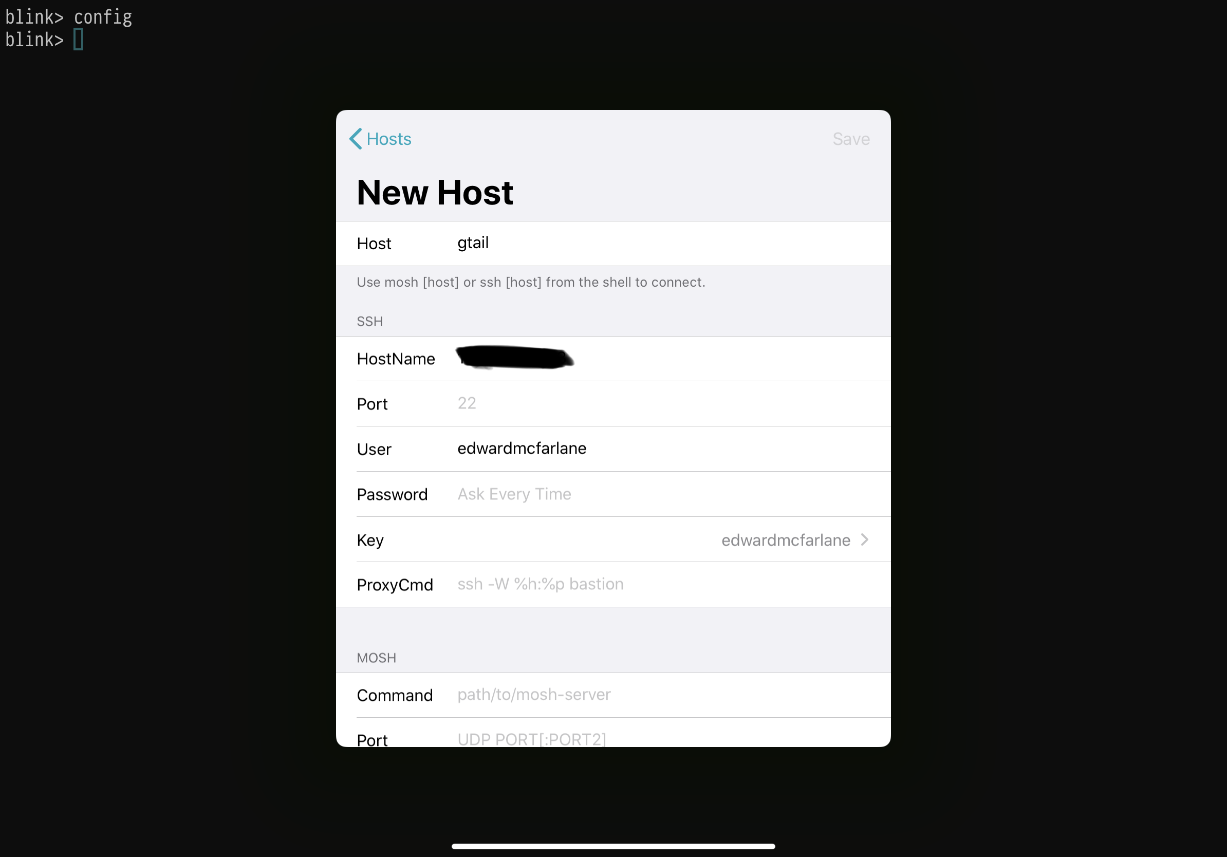 Blink.sh config add gtail to new host